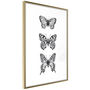 Voir la diapositive 1 : Paris Prix Affiche Murale Encadrée  Butterfly Collection III