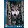 Eurographics Puzzle 1000 pièces : Loup gris