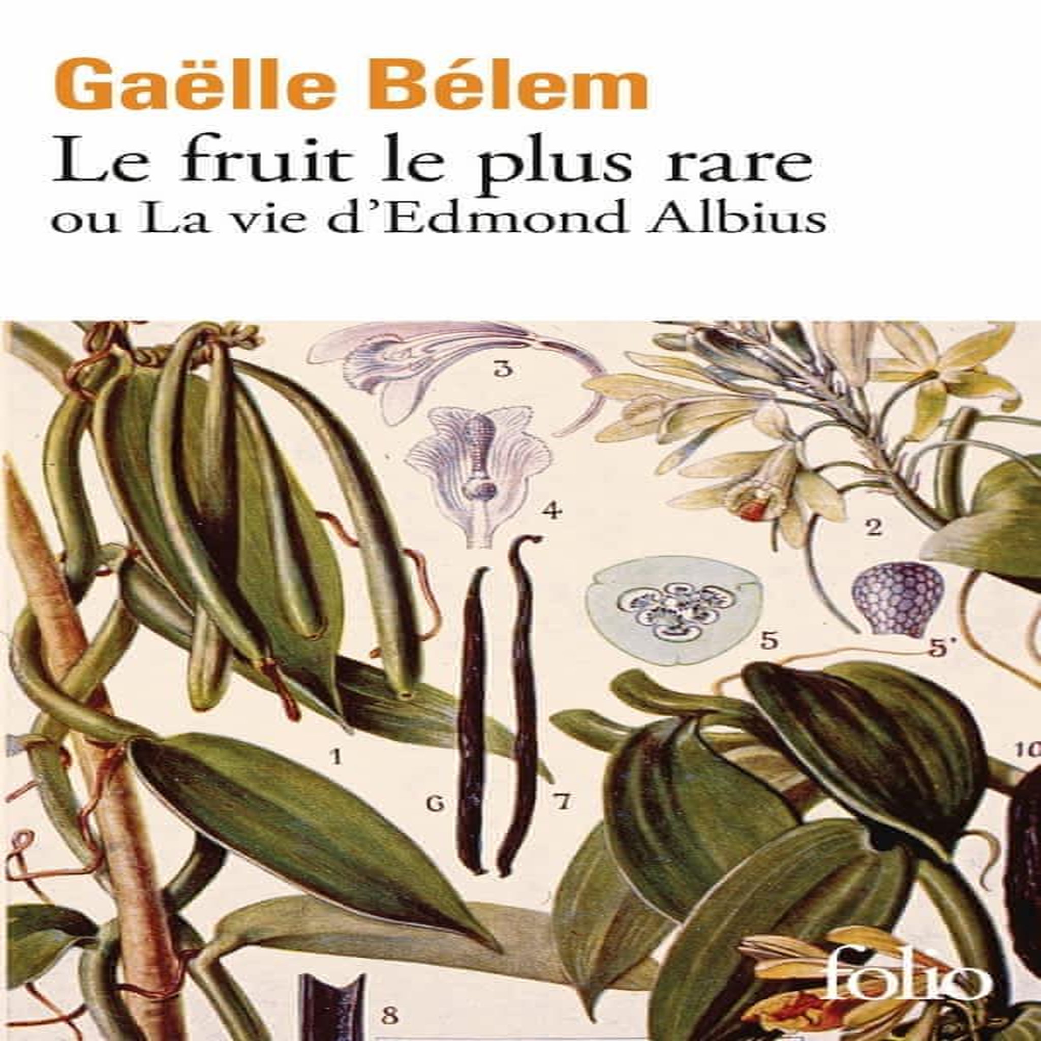 LE FRUIT LE PLUS RARE OU LA VIE D'EDMOND ALBIUS, Bélem Gaëlle