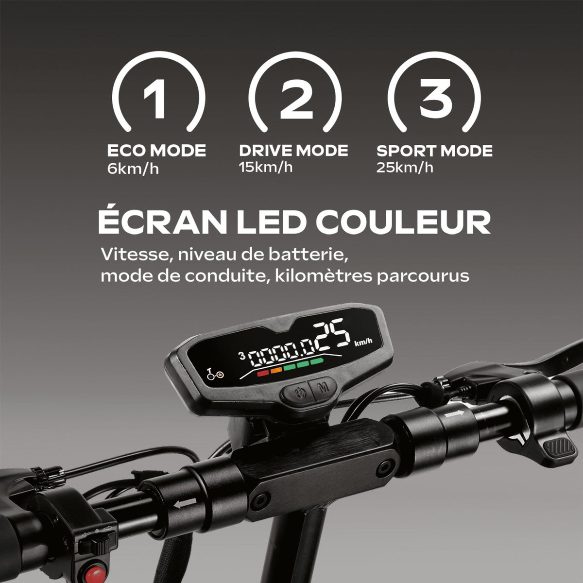 EZWAY Trottinette électrique EZWAY EBOOST GO – 50 km d'autonomie, vitesse max 25 km/h, roues 10 pouces offroad