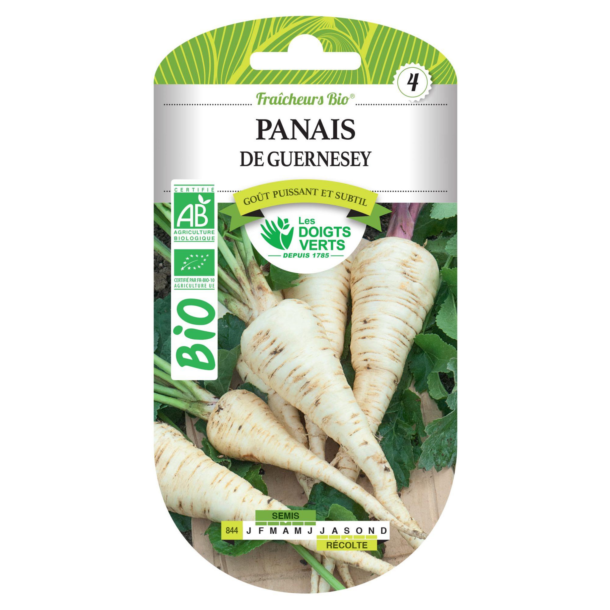 LES DOIGTS VERTS Graines de panais de Guernesey BIO Les Doigts Verts
