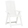 Voir la diapositive 2 : VIDAXL Chaises inclinables de jardin lot de 2 Plastique Blanc
