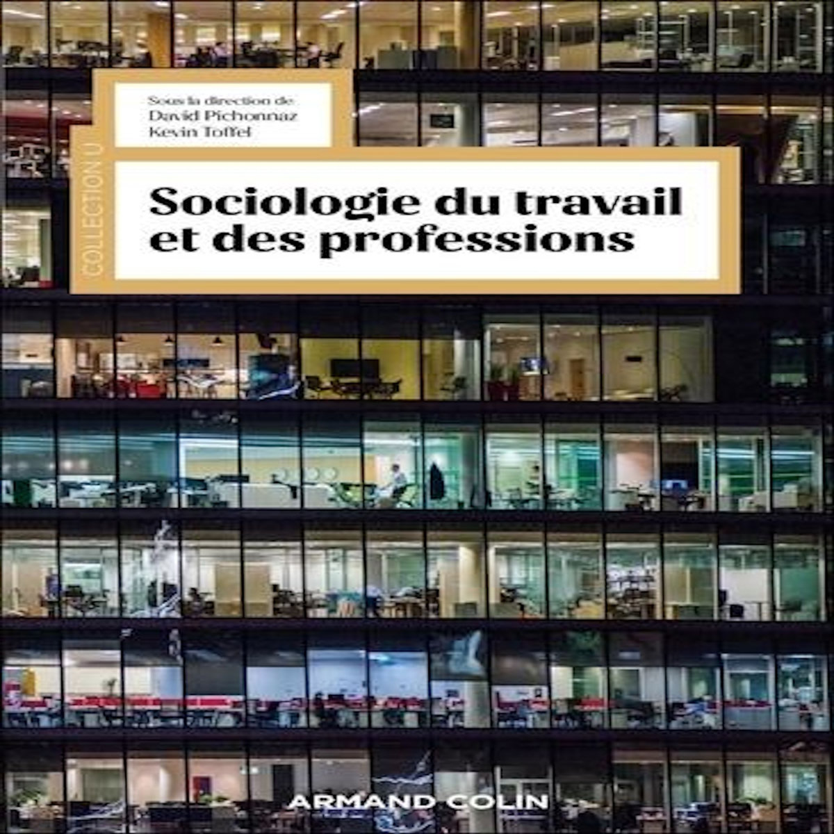 SOCIOLOGIE DU TRAVAIL ET DES PROFESSIONS, Pichonnaz David