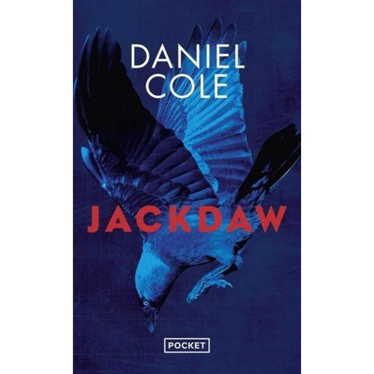JACKDAW, Cole Daniel