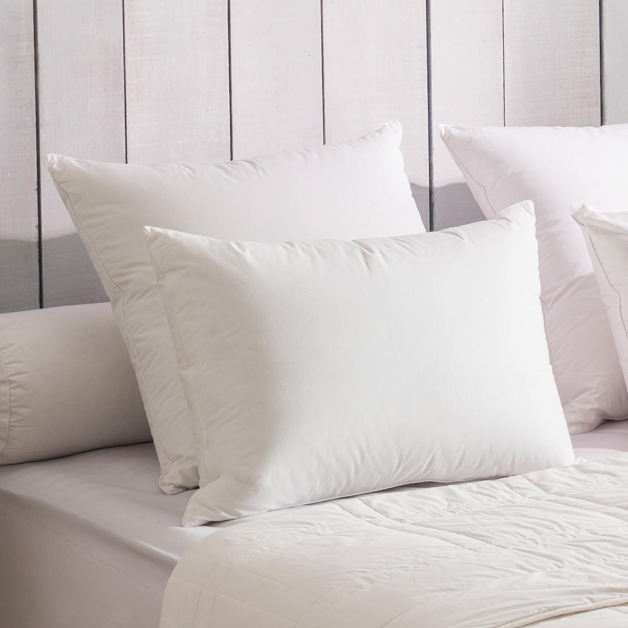 DODO Oreiller 90% duvet eco-responsable medium. Coloris disponibles : Blanc