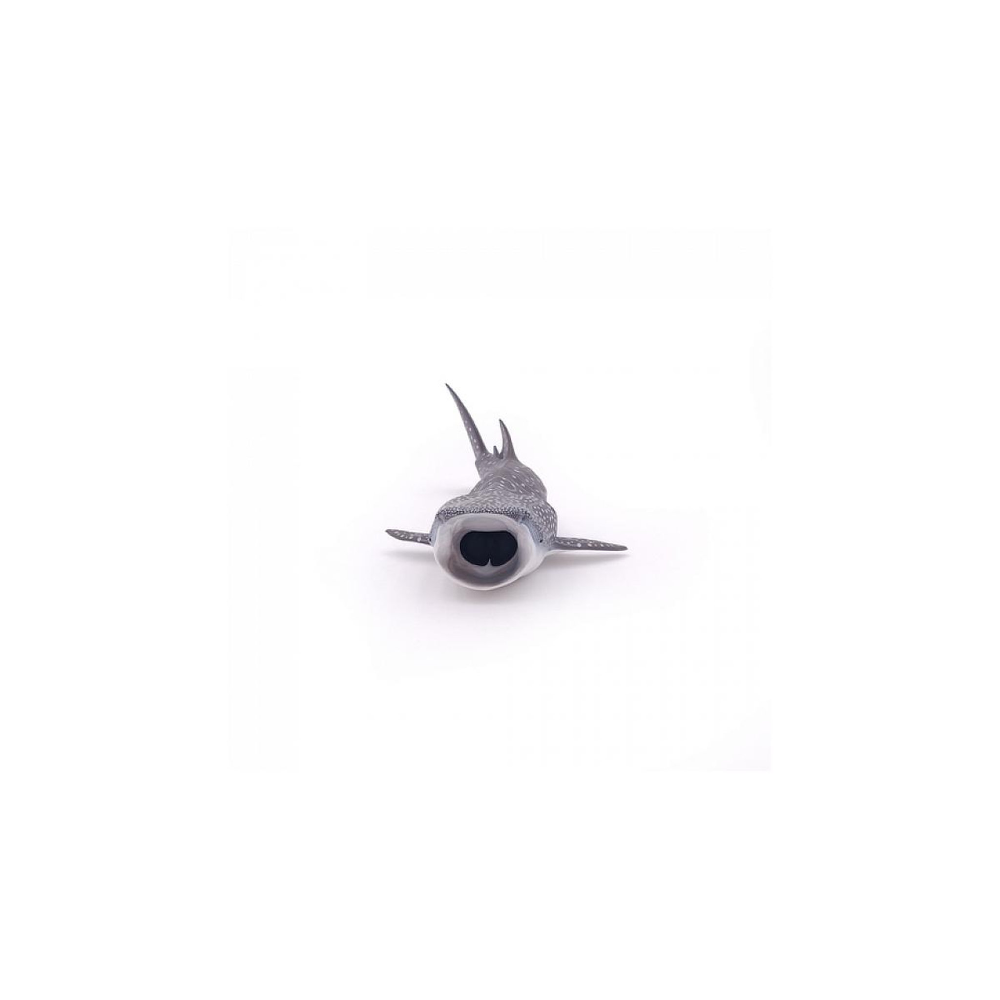 Voir la diapositive 3 : Papo 56039  Requin baleine