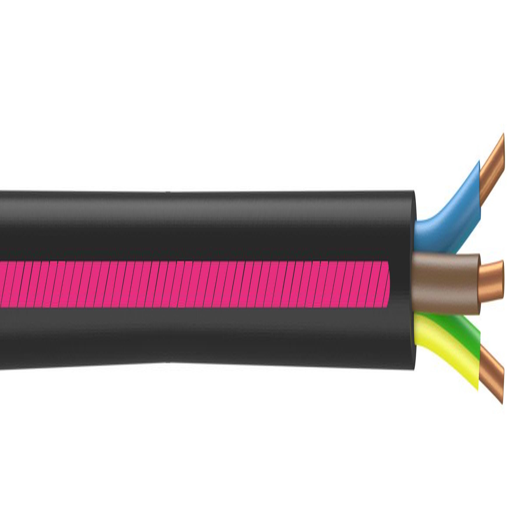 CENTRALE BRICO Câble électrique 3 G 1.5 mm² u1000r2v L.5 m, noir