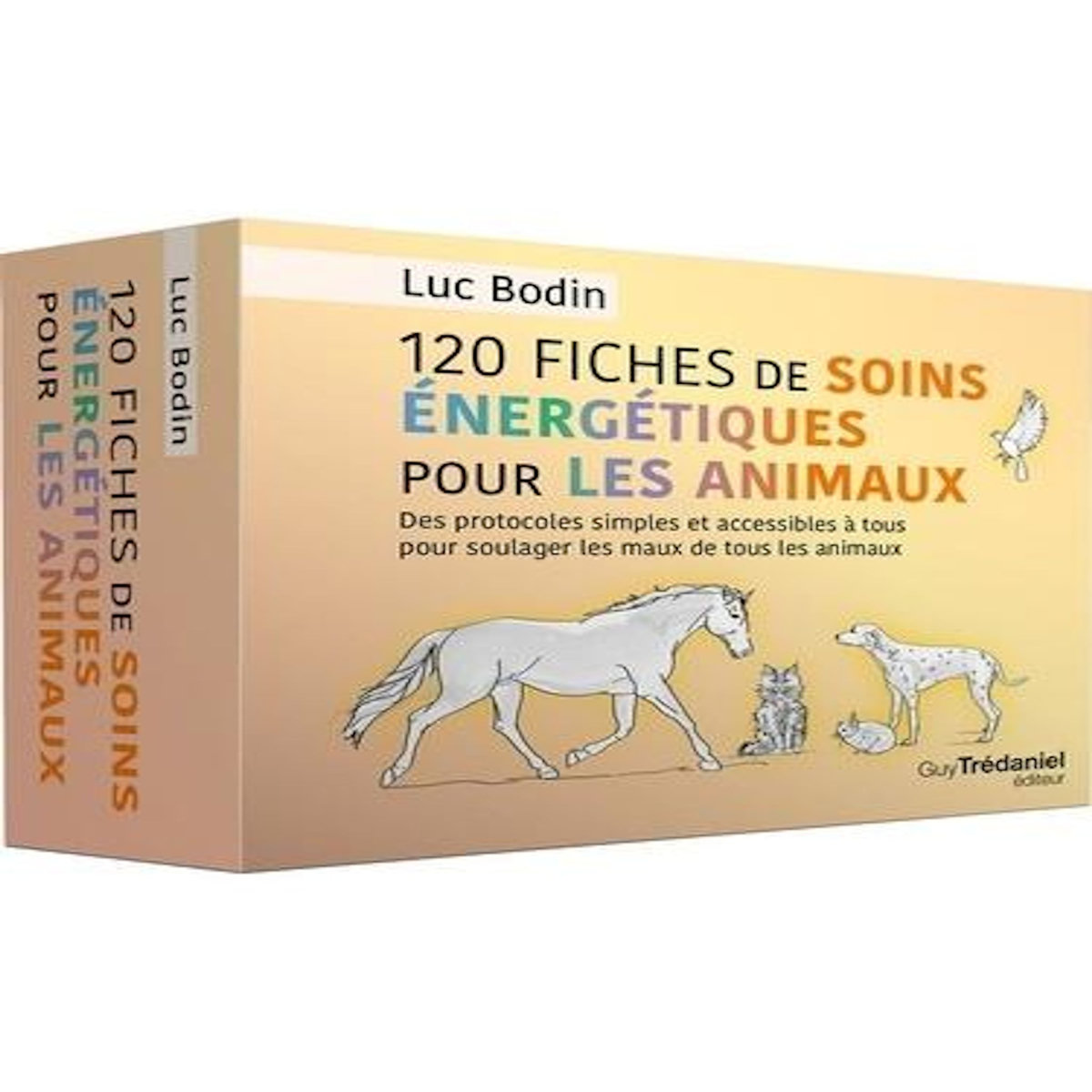 120 FICHES DE SOINS ENERGETIQUES POUR LES ANIMAUX. DES PROTOCOLES SIMPLES ET ACCESSIBLES A TOUS POUR SOULAGER LES MAUX DE TOUS LES ANIMAUX, Bodin Luc