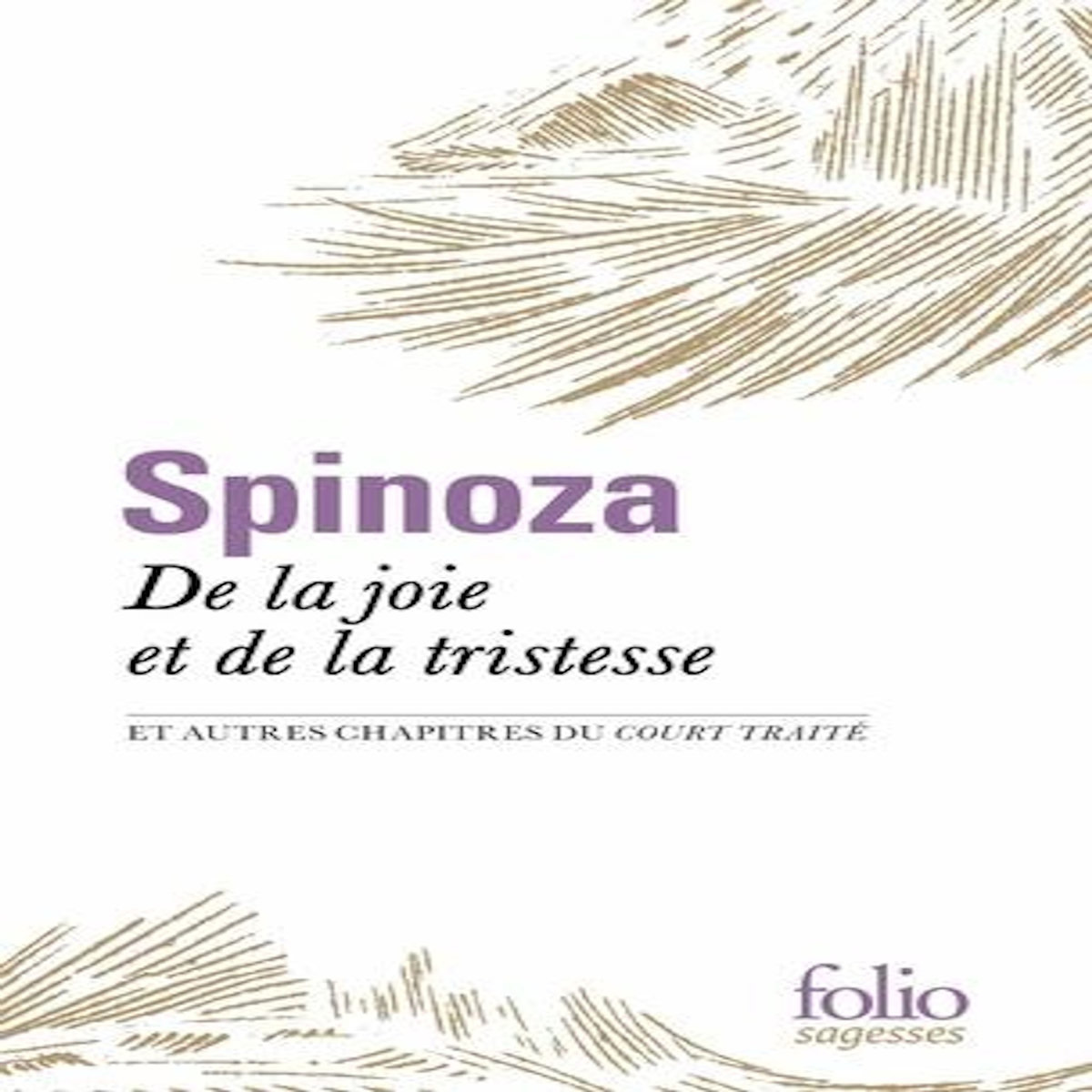DE LA JOIE ET DE LA TRISTESSE. ET AUTRES CHAPITRES DU COURT TRAITE, Spinoza Baruch