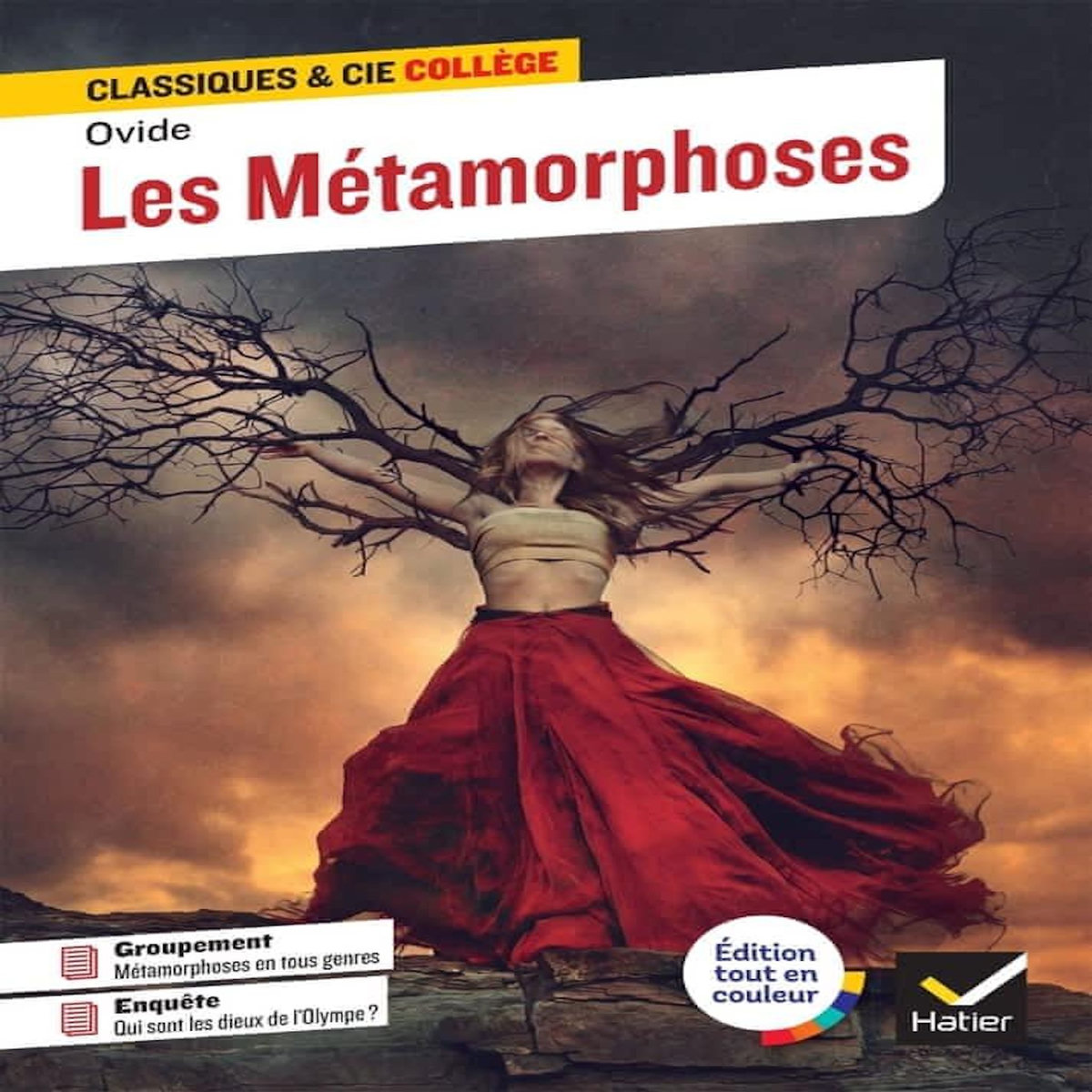 LES METAMORPHOSES. AVEC UN GROUPEMENT THEMATIQUE  LA METAMORPHOSE DANS LA LITTERATURE ET DANS LES ARTS , Mokrani Laurence