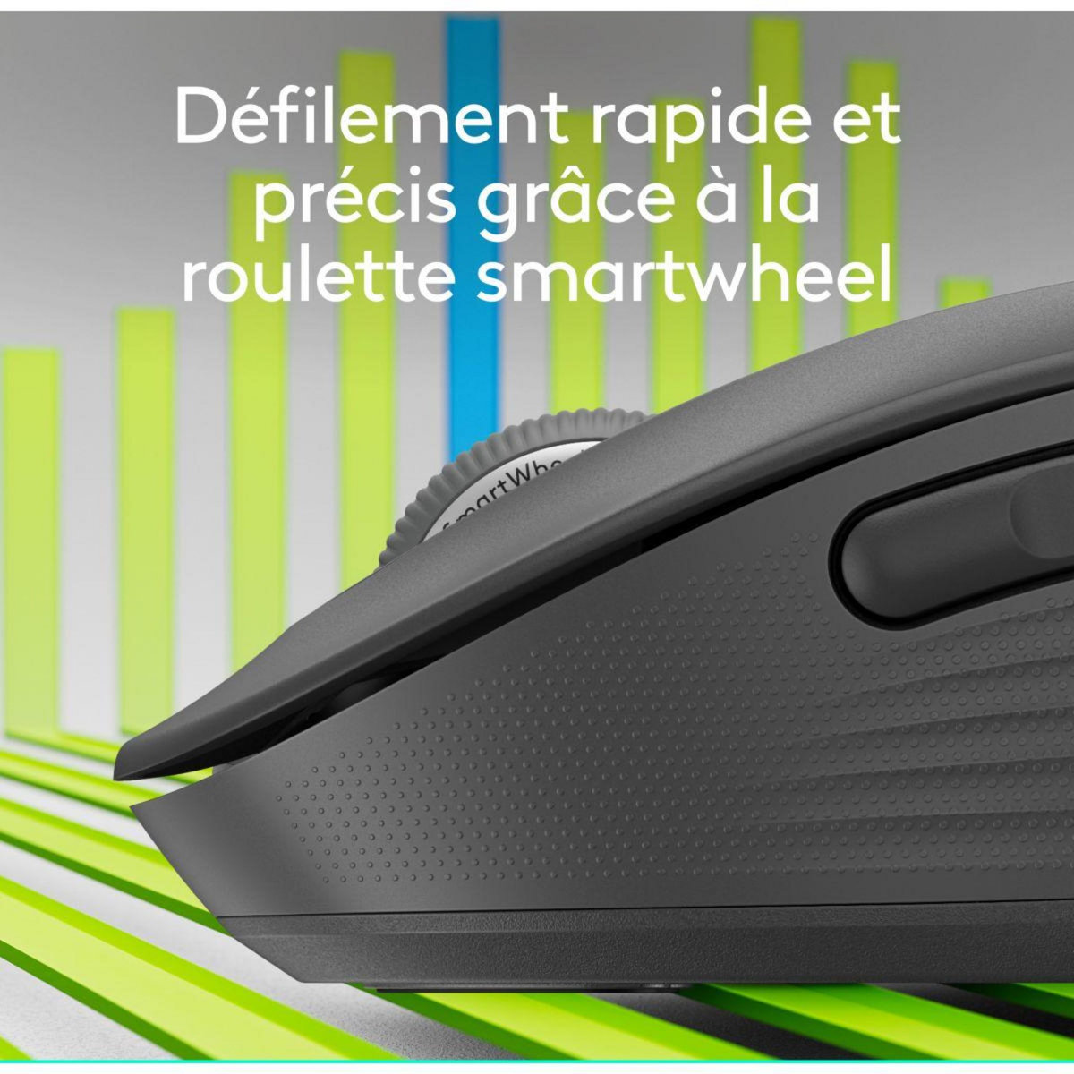 Logitech Souris sans fil SIGNATURE PLUS M750 L