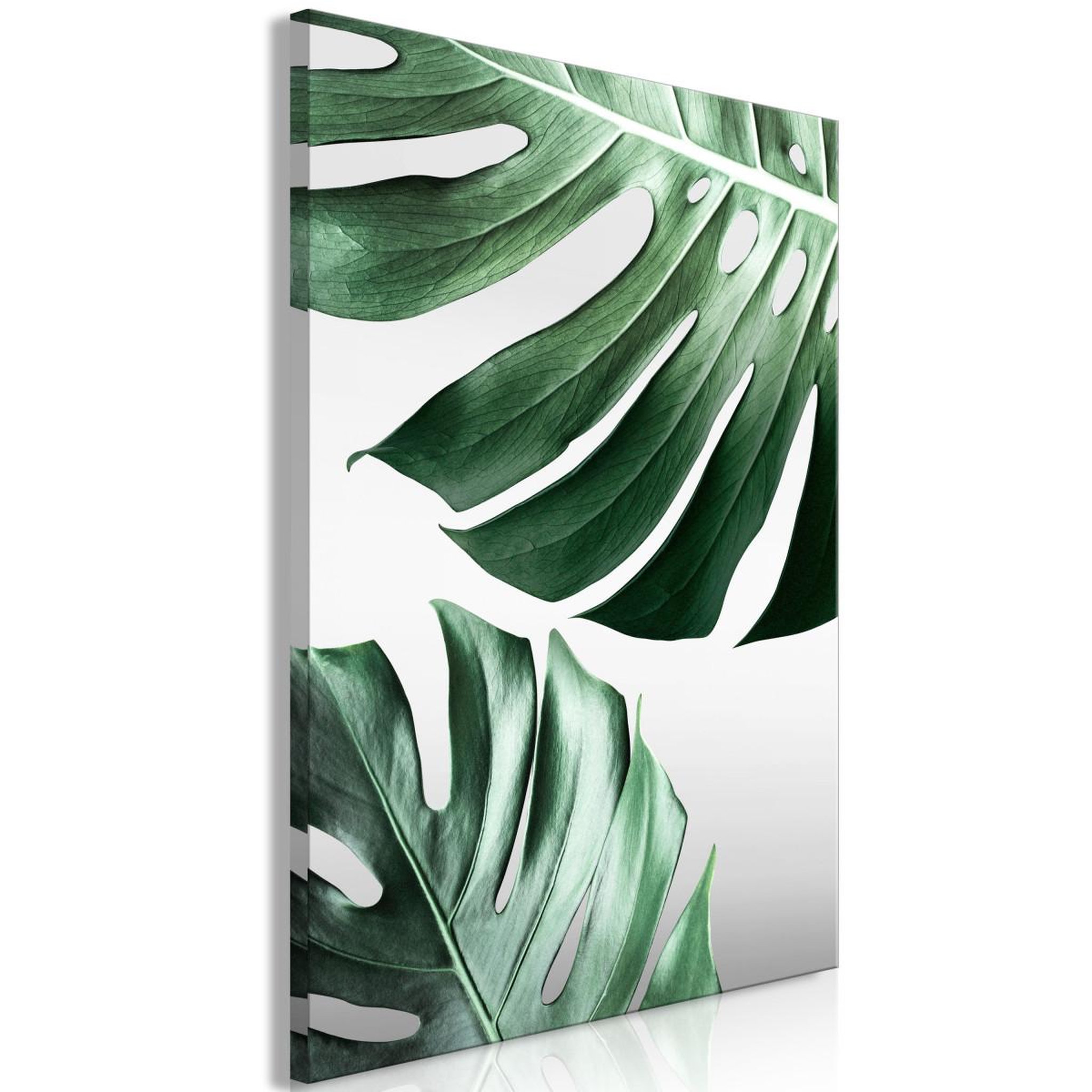 Voir la diapositive 1 : Paris Prix Tableau Imprimé  Monstera Leaves