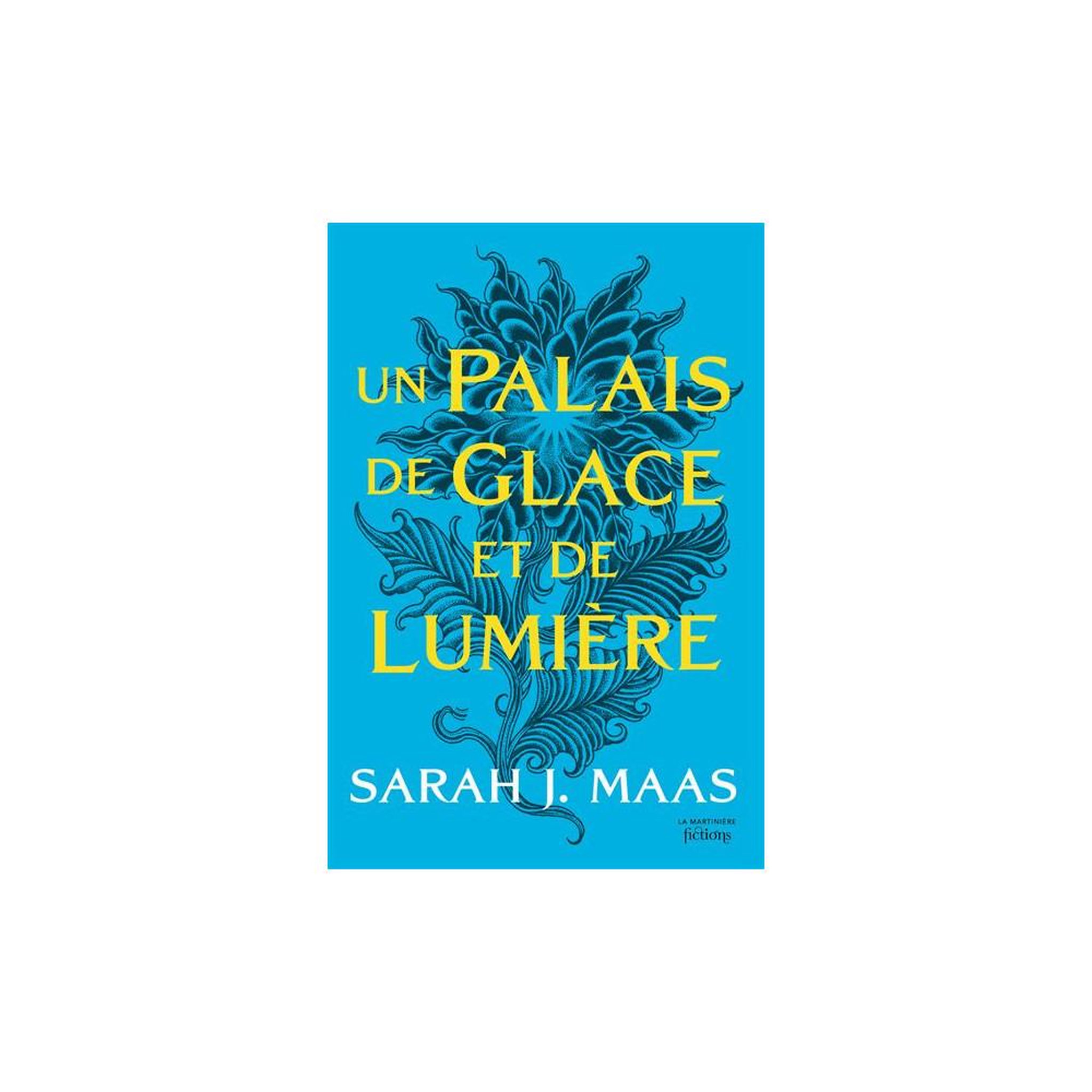 DE LA MARTINIERE JEUNESSE Un palais de glace et de lumière (ACOTAR T4) — roman Sarah J. Maas, La Martinière Jeunesse