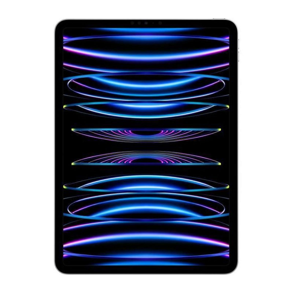 APPLE Apple - iPad Pro (2022) - 11 - WiFi + Cellular - 1 To - Argent