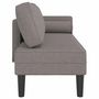 Voir la diapositive 4 : VIDAXL Chaise longue avec coussins taupe tissu