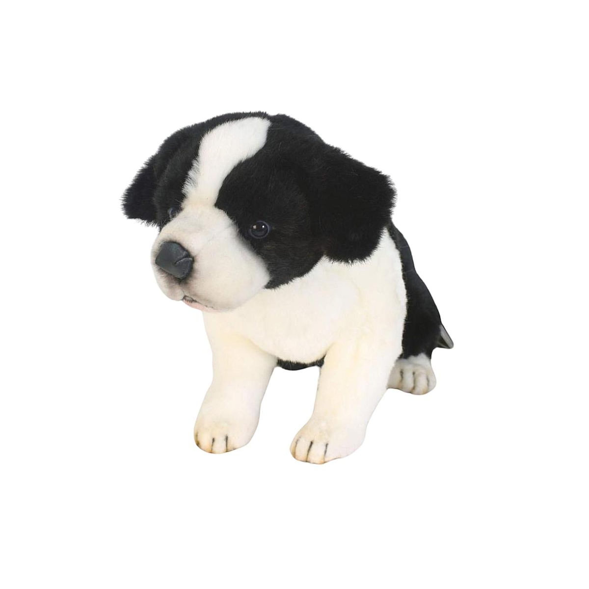 Anima Peluche border colley bebe assis 25cm