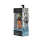 Voir la diapositive 2 : HASBRO Figurine Hasbro Général Hera Syndulla articulée 15 cm
