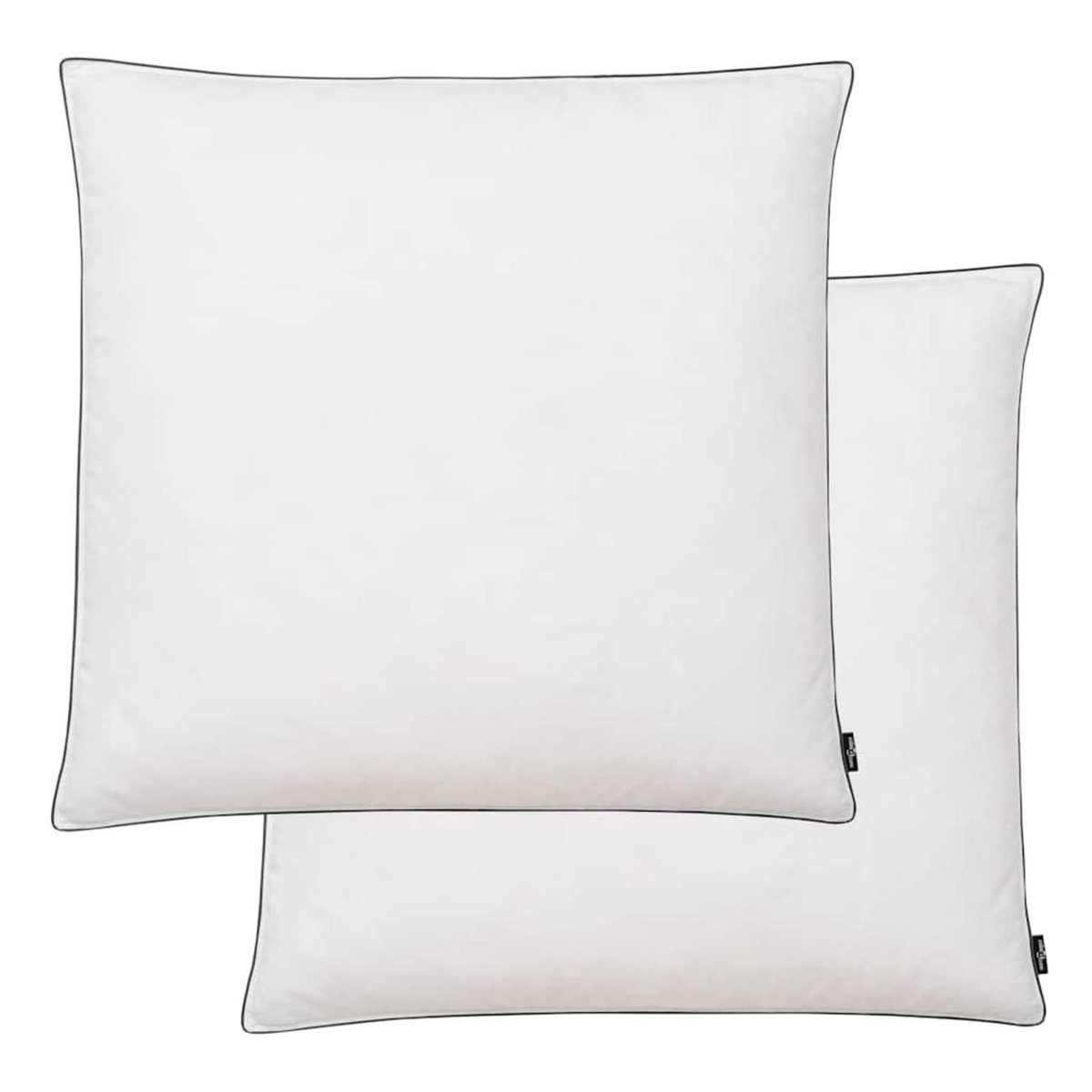 VIDAXL Oreiller lot de 2 Remplissage de duvet leger 80 x 80 cm Blanc