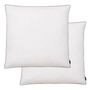 Voir la diapositive 1 : VIDAXL Oreiller lot de 2 Remplissage de duvet leger 80 x 80 cm Blanc