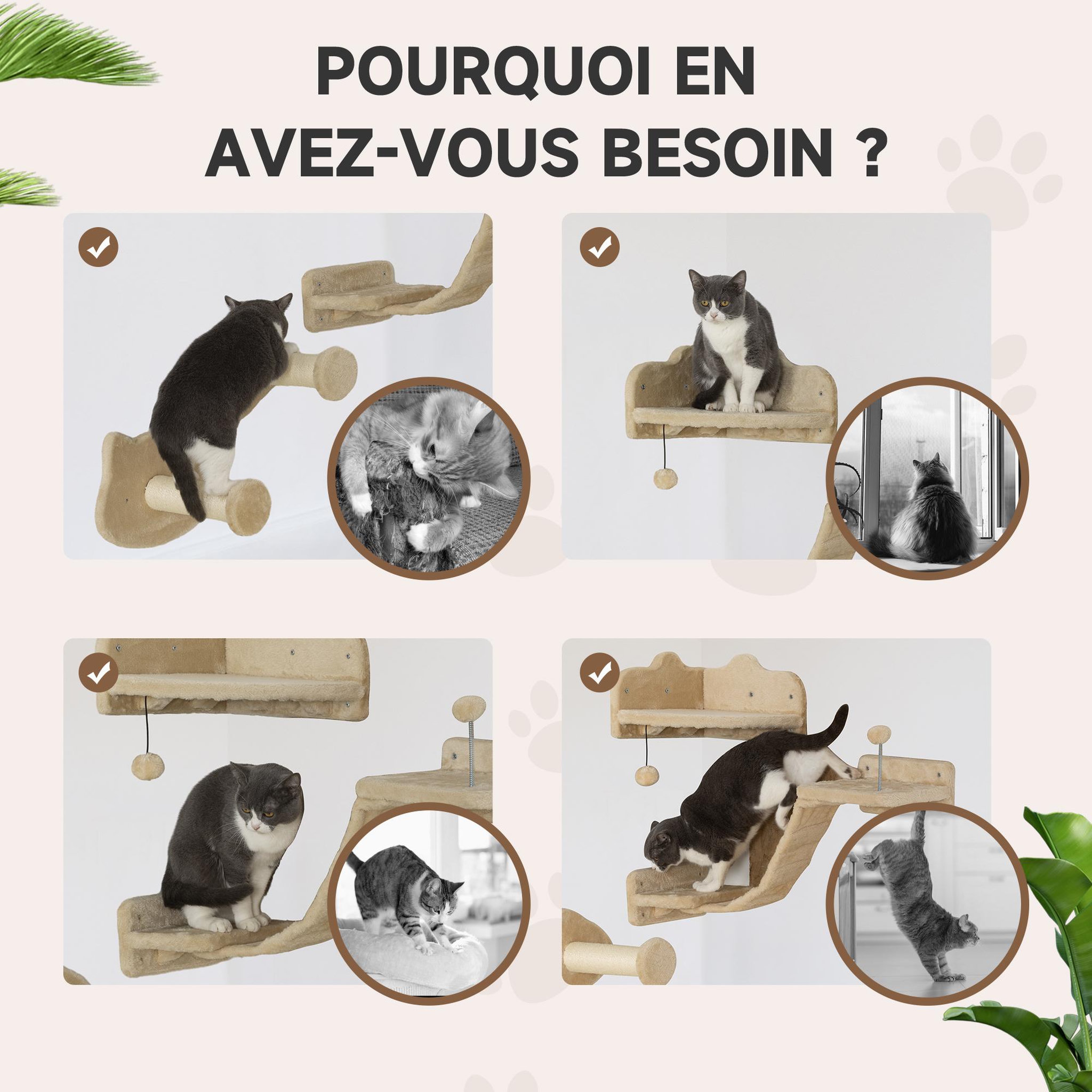 Voir la diapositive 6 : PAWHUT Arbre à chat mural - étagères murales chat - parcours mural 4 pièces - beige