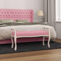 Voir la diapositive 1 : VIDAXL Banc Rose 110x45x60 cm Velours