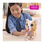 Voir la diapositive 3 : FURREAL FRIENDS Jouet interactif - FURREAL FRIENDS - Mon Copain qui Fait Popo 23 cm - Animal interactif avec laisse, friandises et pelle