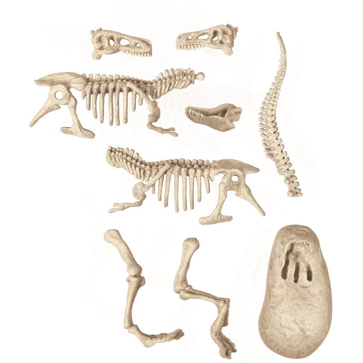 CLEMENTONI Archéo ludic Vélociraptor