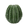 Voir la diapositive 1 : Paris Prix Vase Déco en Céramique  Cactus  24cm Vert