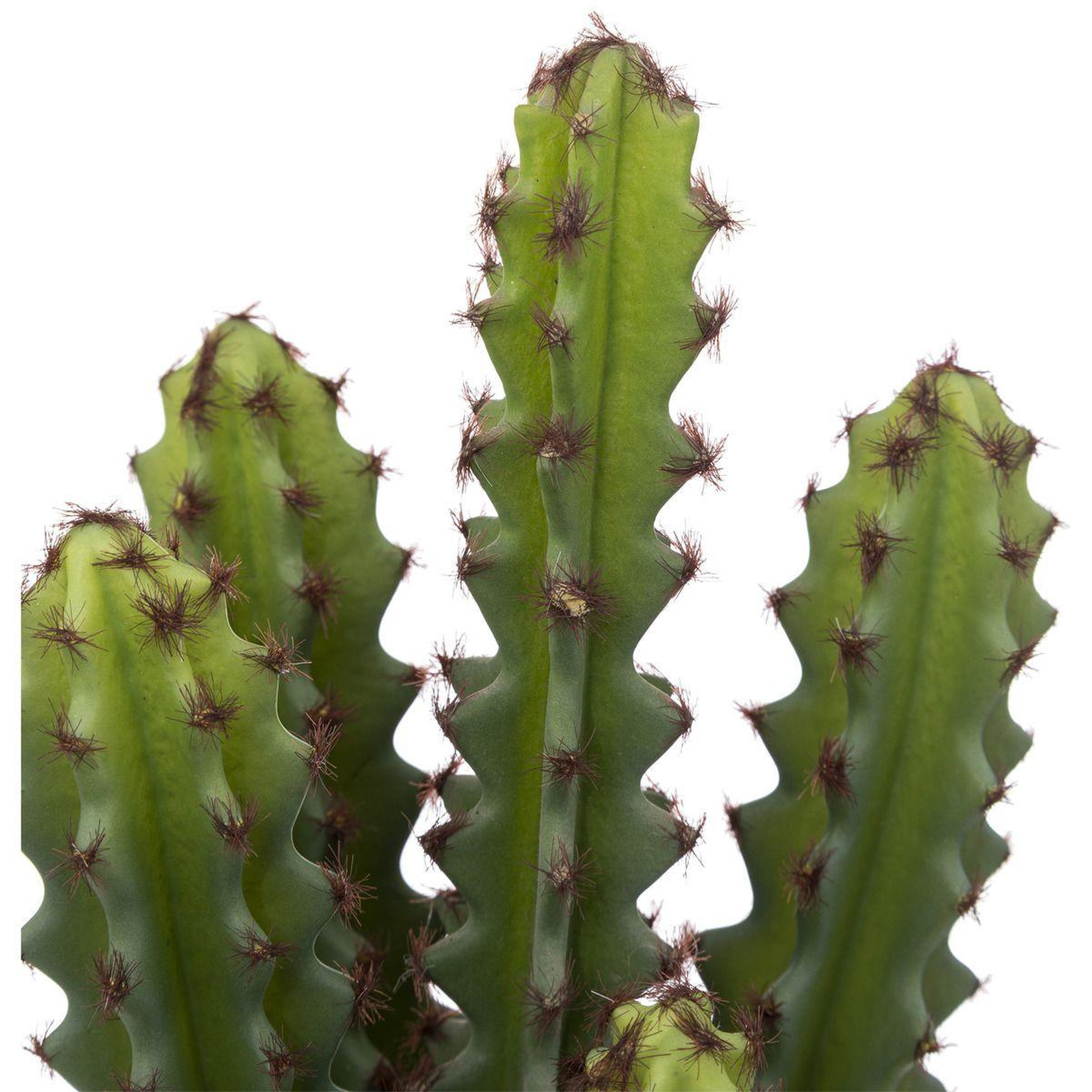 Voir la diapositive 2 : ATMOSPHERA Plante artificielle cactus  alicante  30cm vert