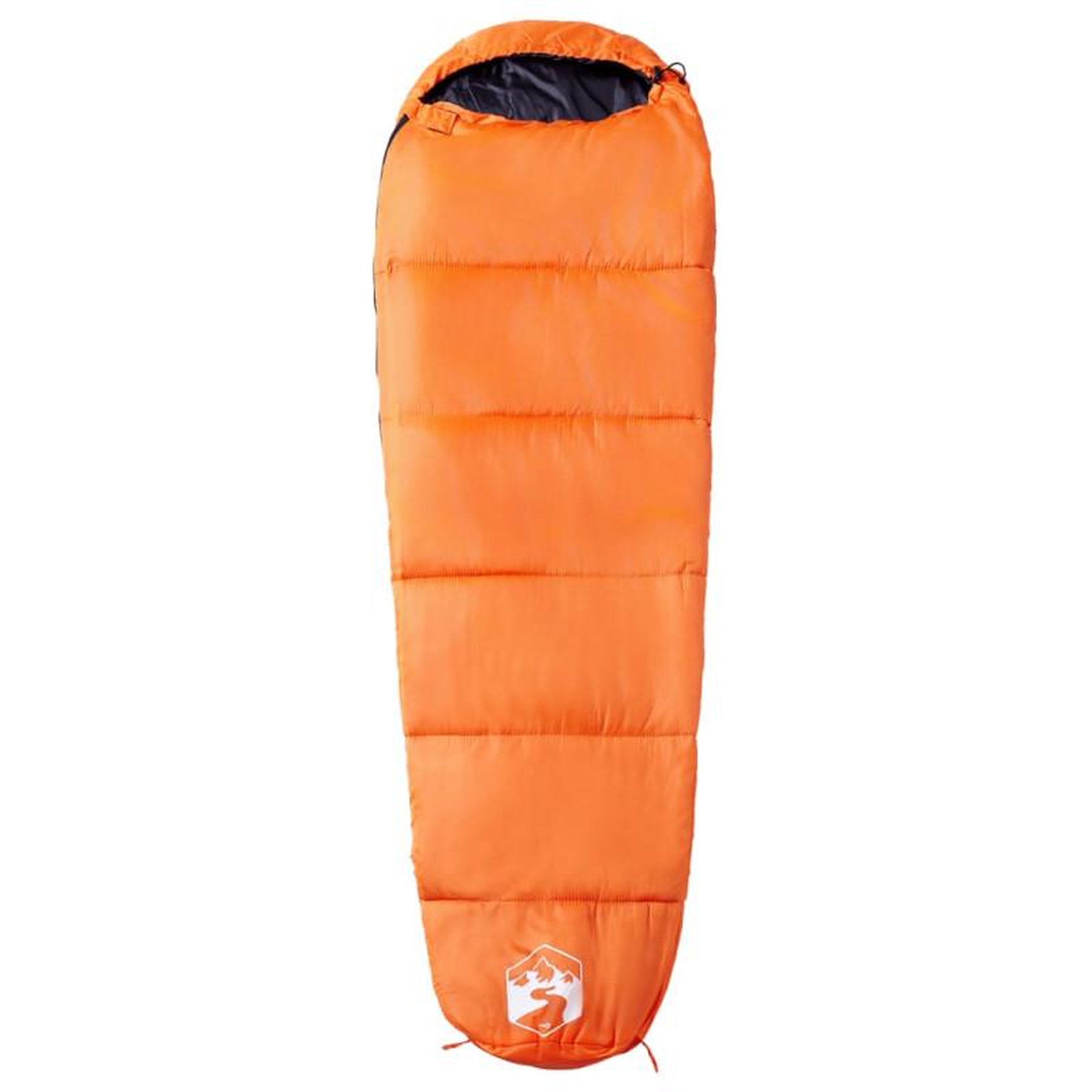 Voir la diapositive 2 : VIDAXL Sac de couchage momie pour adultes camping 3 saisons