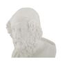 Voir la diapositive 3 : Paris Prix Buste Homme en Résine  Sage  25cm Blanc