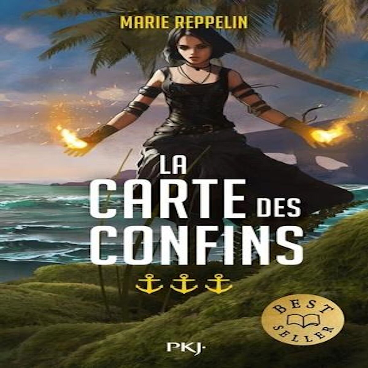 LA CARTE DES CONFINS TOME 3 , Reppelin Marie