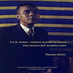 C.L.R JAMES, RACISME ET LUTTE DE CLASSE. UNE LECTURE DES JACOBINS NOIRS, Gulli Florian