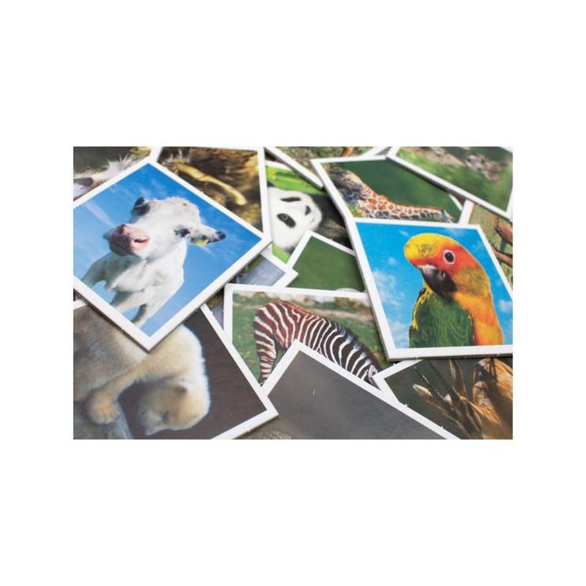 Tactic TACTIC Babydieren Memo