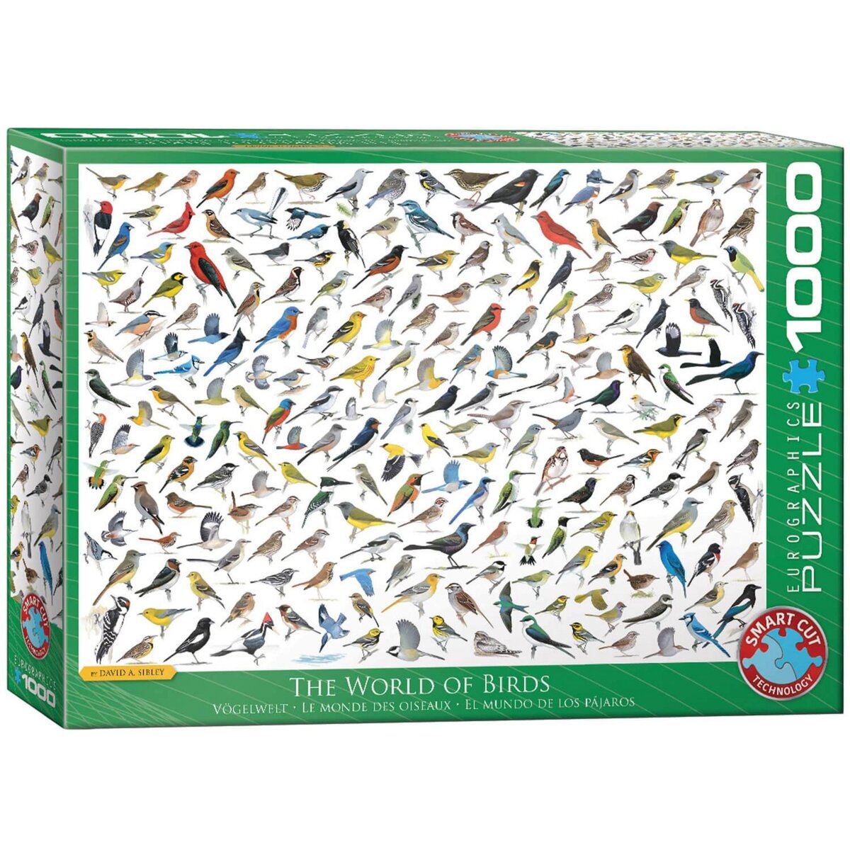 Eurographics Puzzle 1000 pièces : Le monde des oiseaux