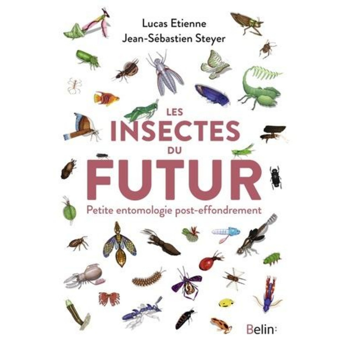 LES INSECTES DU FUTUR. PETITE ENTOMOLOGIE POST-EFFONDREMENT, Étienne Lucas