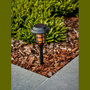 Voir la diapositive 1 : GARDENSTAR Borne solaire torche led jaune 11 x 43cm 