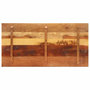 Voir la diapositive 4 : VIDAXL Dessus de table rectangulaire 60x120 cm 15-16 mm Bois recupere