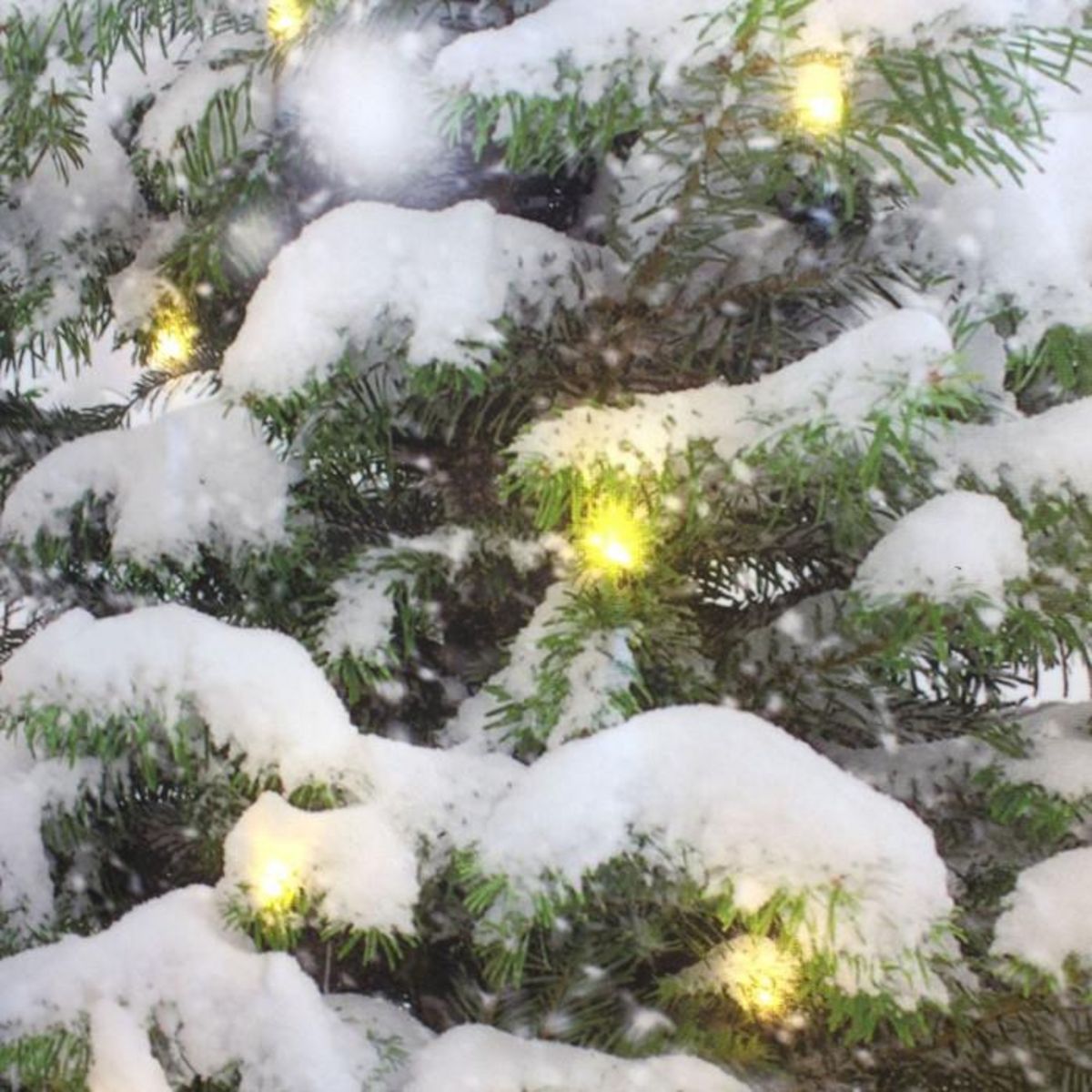 Paris Prix Toile Murale Déco LED  Noël  75x112cm Multicolore