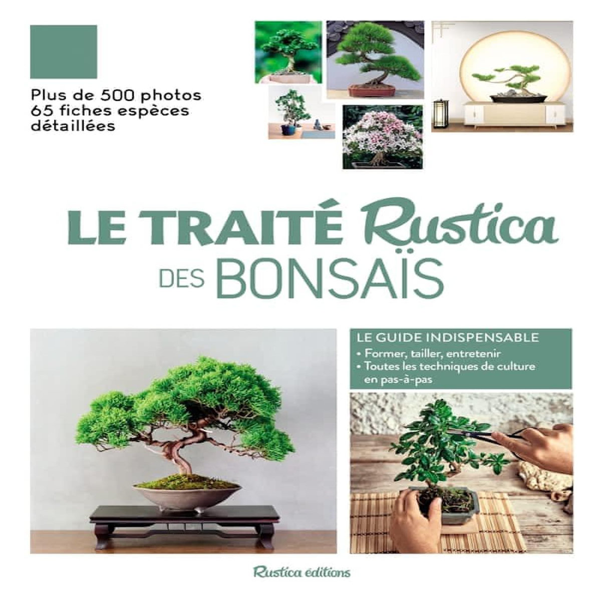 LE TRAITE RUSTICA DES BONSAIS, Barbier Alain