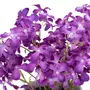 ATMOSPHERA Composition Florale & Vase  Violette  27cm Violet