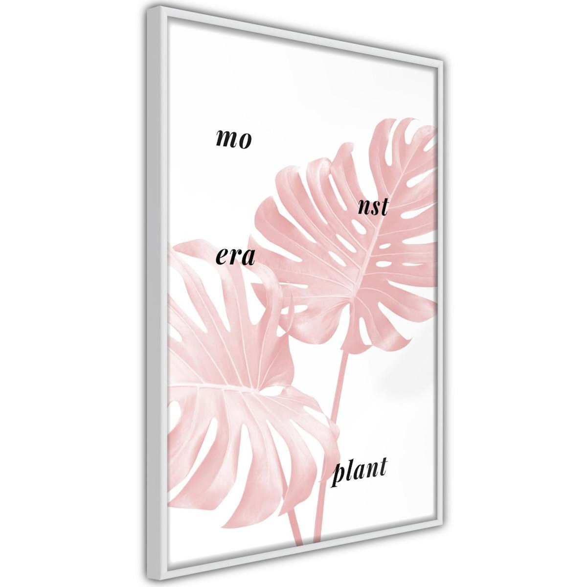 Paris Prix Affiche Murale Encadrée  Pale Pink Monstera