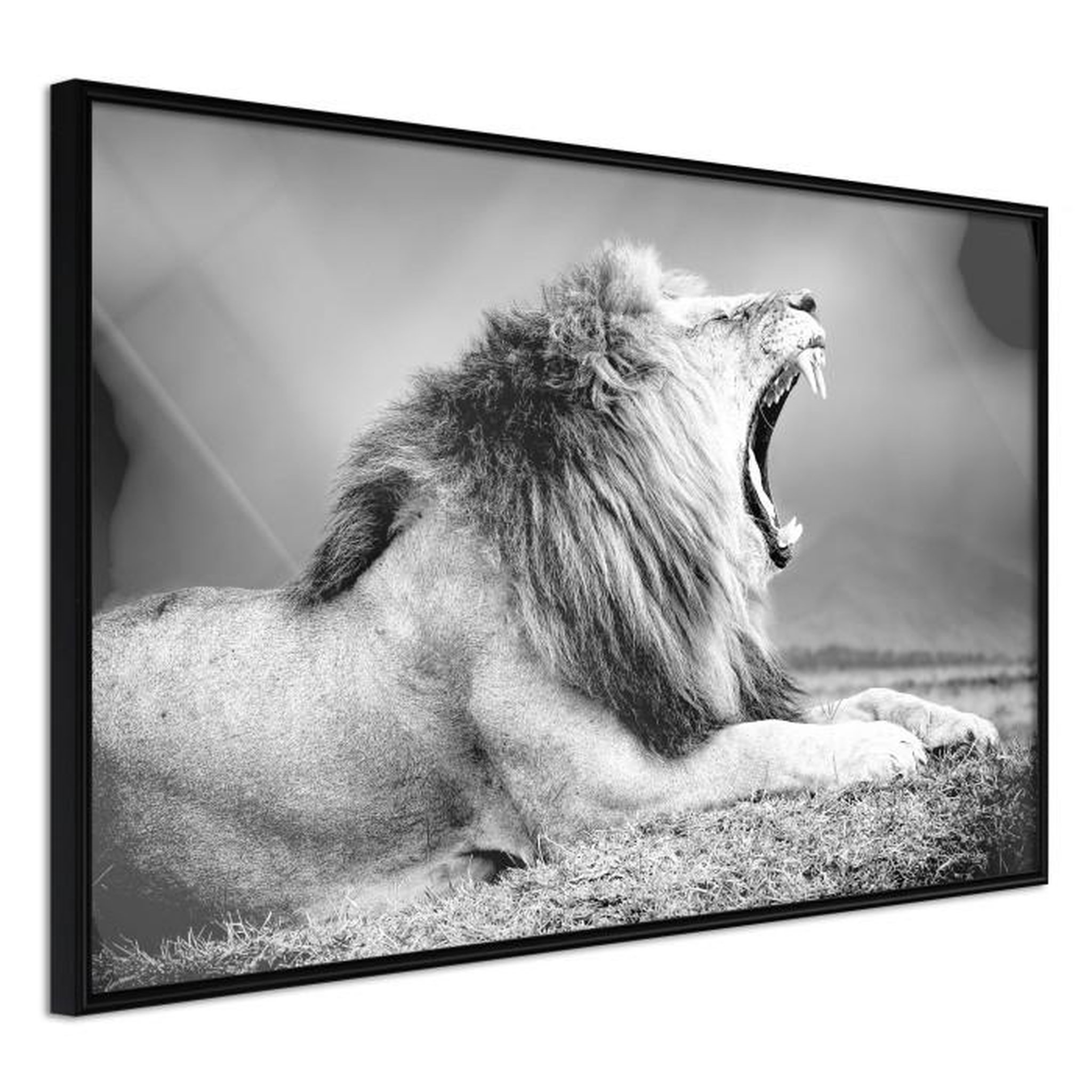 Paris Prix Affiche Murale Encadrée  Yawning Lion. Coloris disponibles : Jaune, Noir