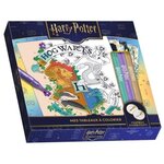 MES TABLEAUX A COLORIER HARRY POTTER. AVEC 10 TABLEAUX ILLUSTRES A COLORIER ET A SUBLIMER ET 3 FEUTRES PAILLETES DOUBLE POINTE, Play Bac