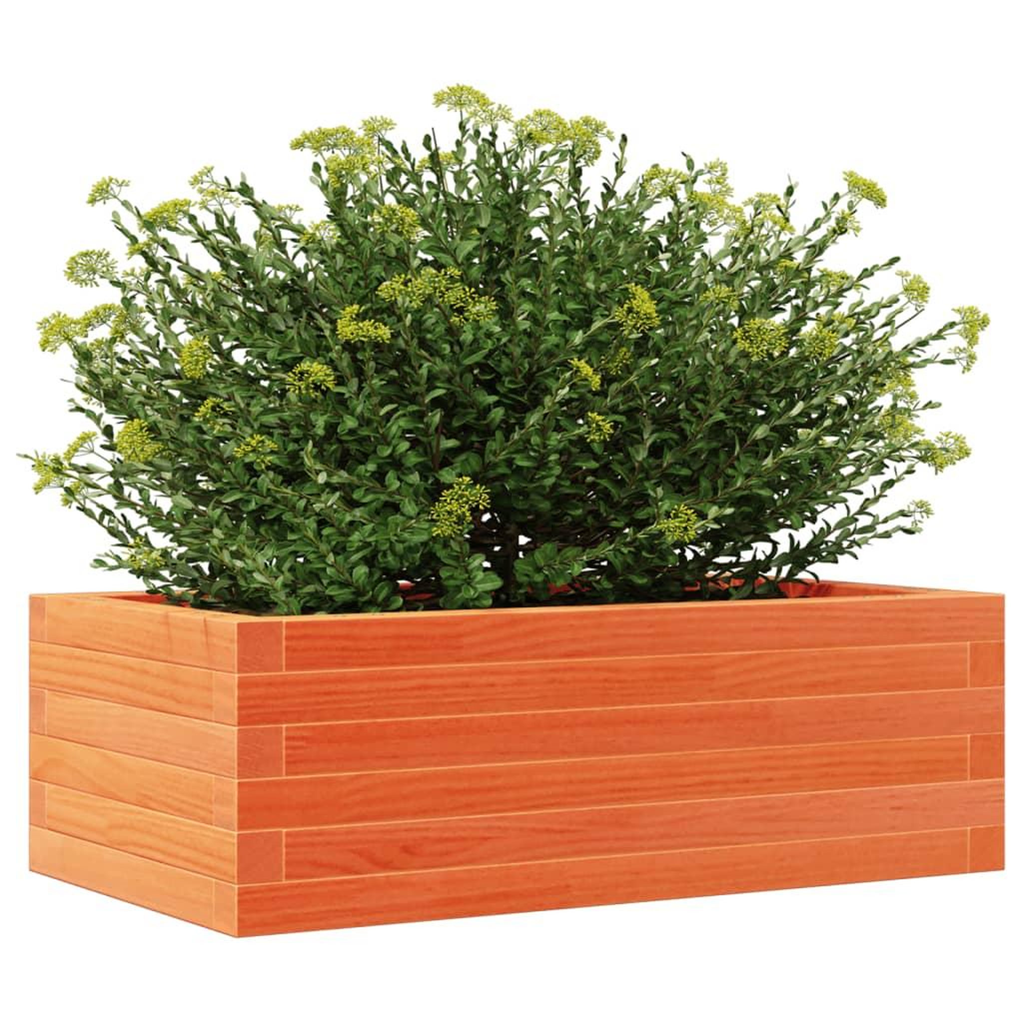 Voir la diapositive 4 : VIDAXL Jardiniere cire marron 70x40x23 cm bois de pin massif