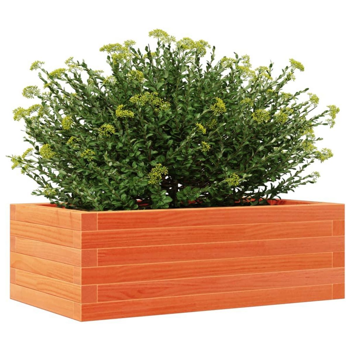VIDAXL Jardiniere cire marron 70x40x23 cm bois de pin massif
