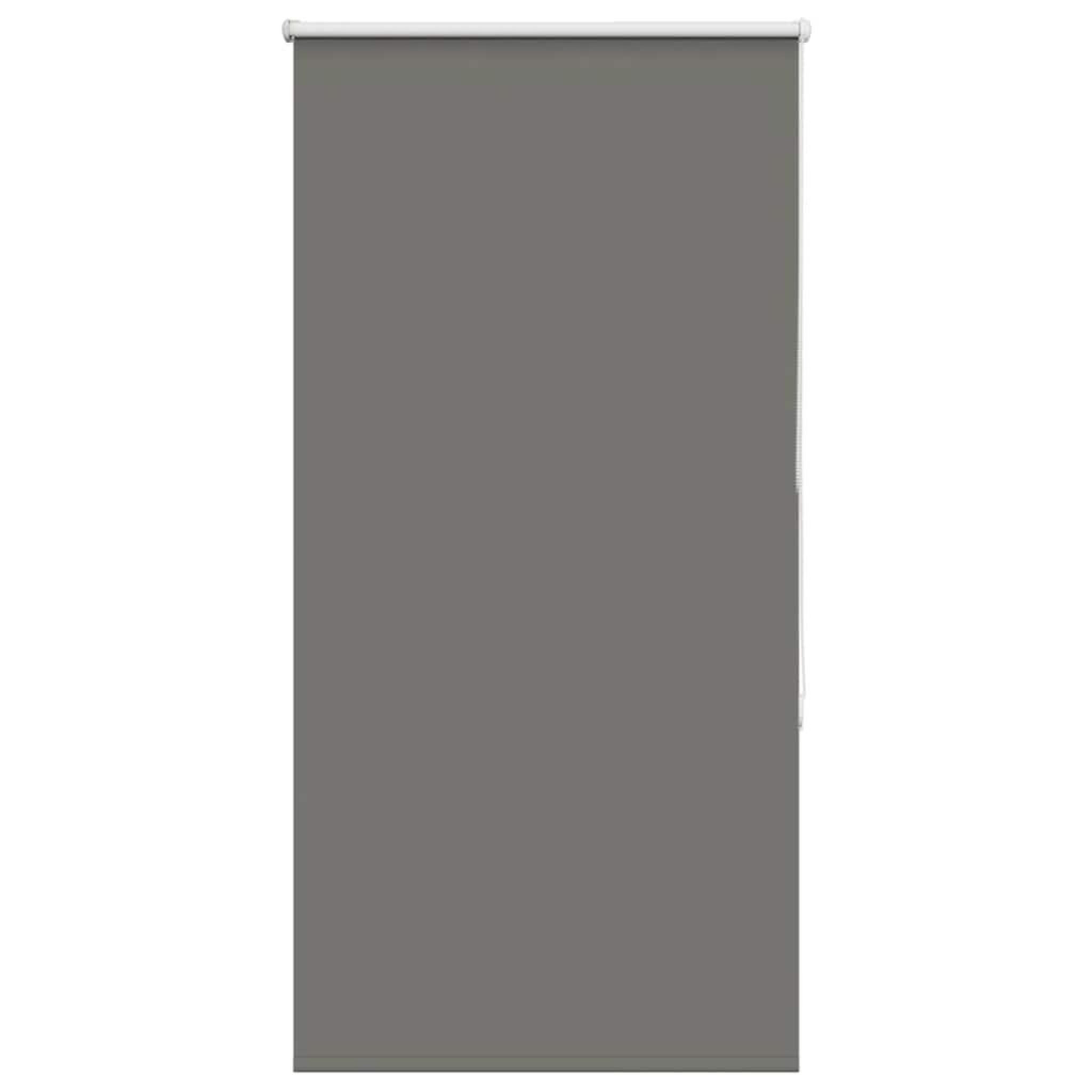 Voir la diapositive 2 : VIDAXL Store enrouleur occultant largeur du tissu 70,7 cm polyester