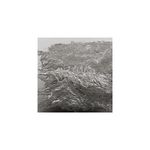 Chrome Édition Limitée Vinyle Transparent