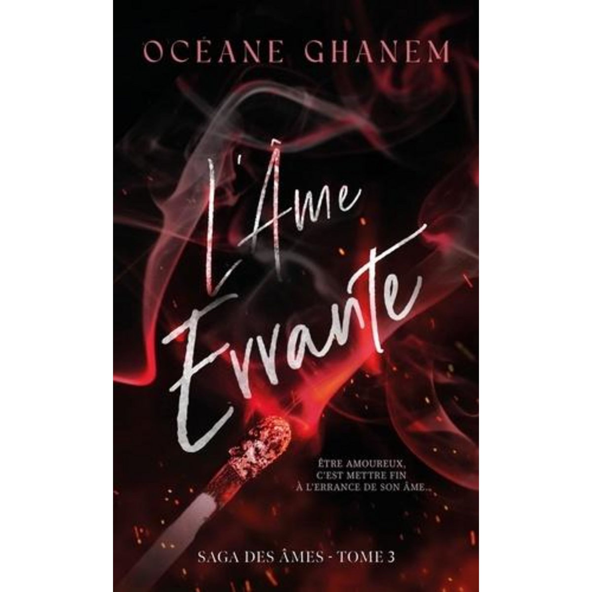 LA SAGA DES AMES : L'AME ERRANTE. TOME 3, Ghanem Océane