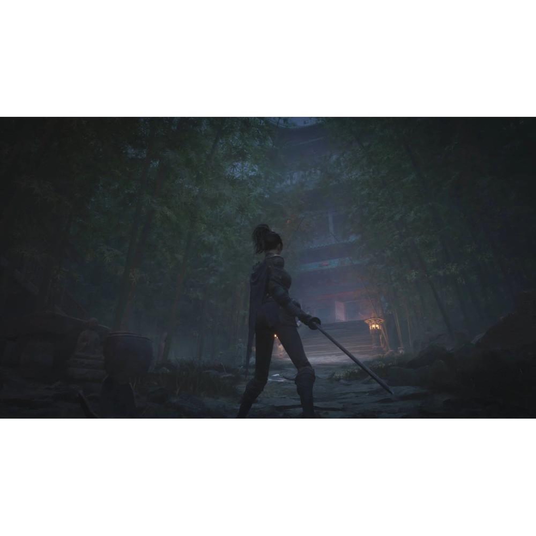 Voir la diapositive 4 : Just for games WUCHANG: Fallen Feathers - Jeu PS5